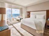 1 Bedroom ADA Shower Double Suite with city view