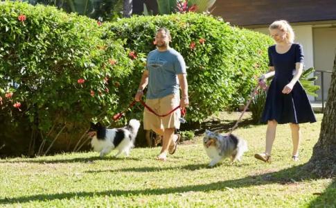 Best Western The Plaza - Free Breakfast - 39