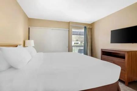 Palm Canyon Resort - 23