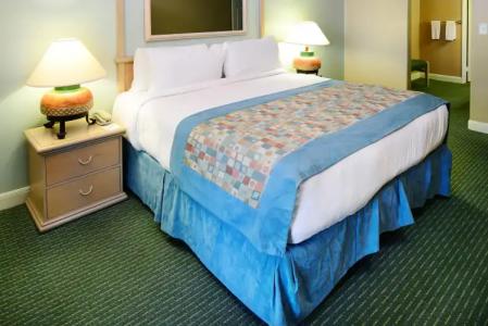 Palm Canyon Resort - 16