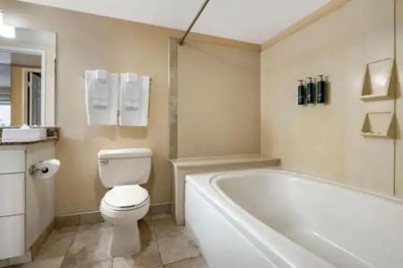 Palm Canyon Resort - 38