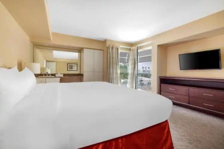 Palm Canyon Resort - 22