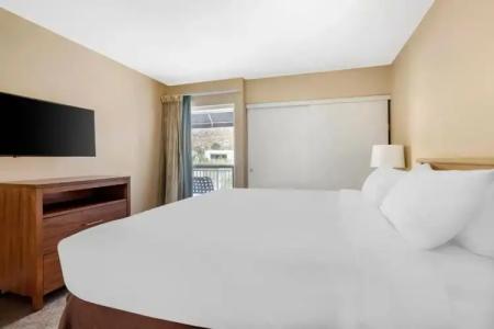 Palm Canyon Resort - 34