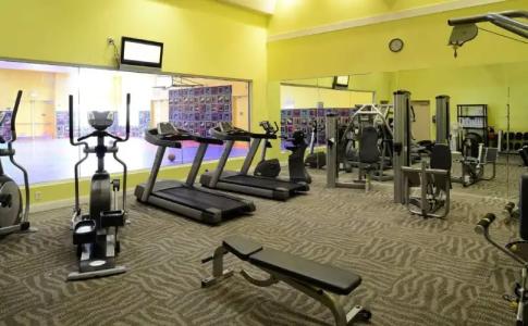 Palm Canyon Resort - 6