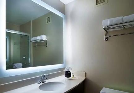 Holiday Inn Nashville Vanderbilt, an IHG - 56