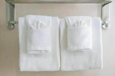 Holiday Inn Nashville Vanderbilt, an IHG - 69