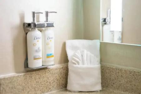 Holiday Inn Nashville Vanderbilt, an IHG - 68