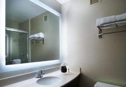 Holiday Inn Nashville Vanderbilt, an IHG - 13