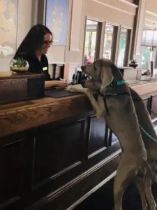 Millennium Maxwell House Nashville - 41