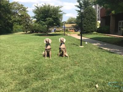 Millennium Maxwell House Nashville - 43