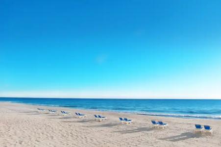 Pelican Grand Beach Resort, a Noble House Resort - 19