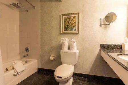 The Lago Mar Beach Resort and Club - 93