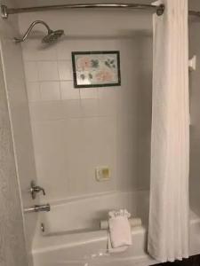 The Lago Mar Beach Resort and Club - 86