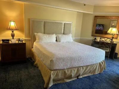 The Lago Mar Beach Resort and Club - 58