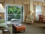 1 Bedroom Suite with view