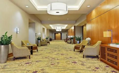 The Westin Austin at The Domain - 4