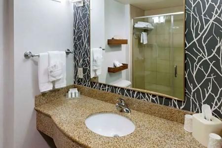 Hilton Garden Inn Austin North - 37