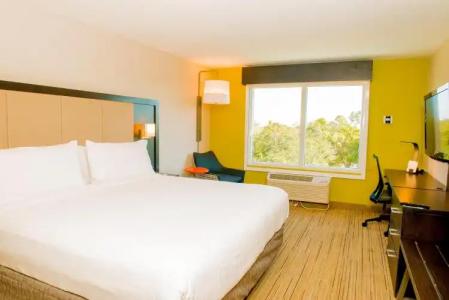 Holiday Inn Express St. Petersburg North / I-275, an IHG - 26