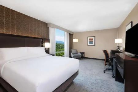 DoubleTree by Hilton Denver Cherry Creek, CO - 6