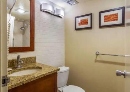 Holiday Inn Express Denver Central - North - 48