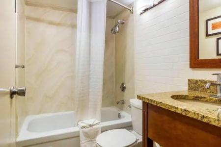 Holiday Inn Express Denver Central - North - 54