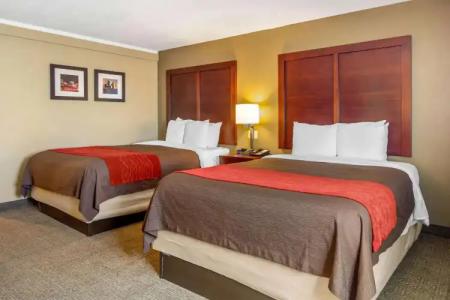 Holiday Inn Express Denver Central - North - 4