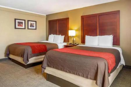 Holiday Inn Express Denver Central - North - 45