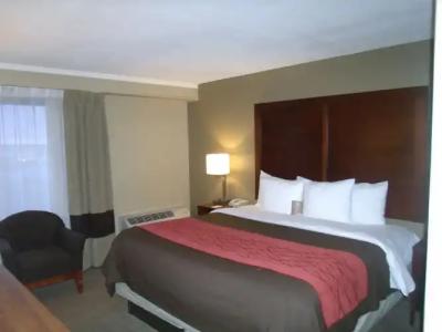 Holiday Inn Express Denver Central - North - 5