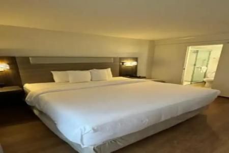 Holiday Inn Express Denver Central - North - 33