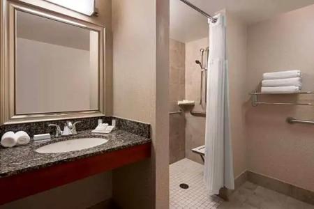 Hilton Garden Inn Denver Downtown - 79