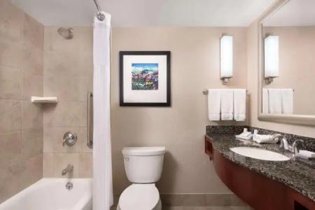 Hilton Garden Inn Denver Downtown - 7