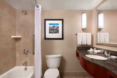 Hilton Garden Inn Denver Downtown - 61