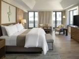 Luxury Suite