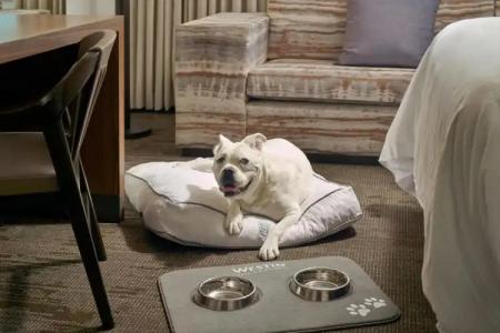 The Westin Charlotte - 46