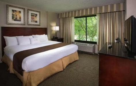 DoubleTree by Hilton Charlotte Airport - 43