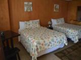Standard Double room with partial ocean view