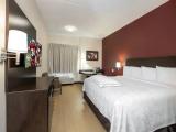 Premium Double Suite