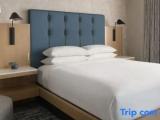 1 Bedroom Executive Double Suite with city view
