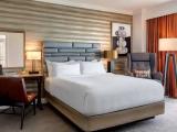 Executive Double Suite