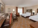1 Bedroom Double Suite with city view