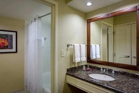 San Antonio Marriott Rivercenter on the River Walk - 45