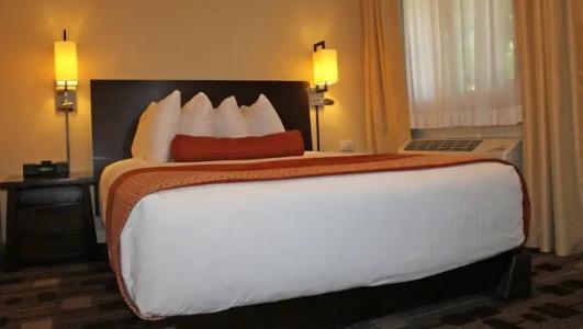 The Zen Palo Alto - 63