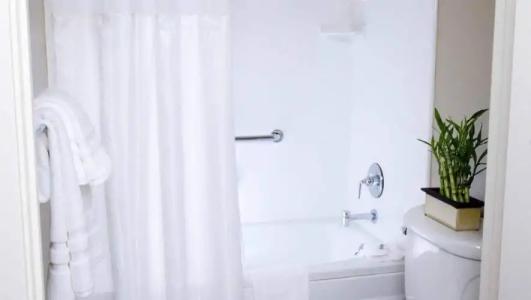 The Zen Palo Alto - 61