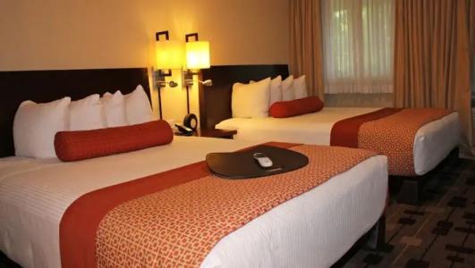 The Zen Palo Alto - 69