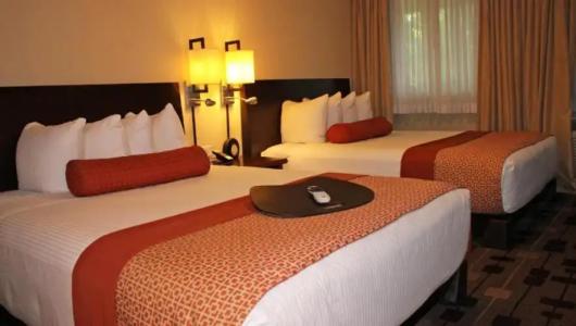 The Zen Palo Alto - 51