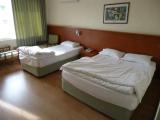 Standard Triple room with city view