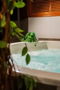 Finlandia Aquarius - 17