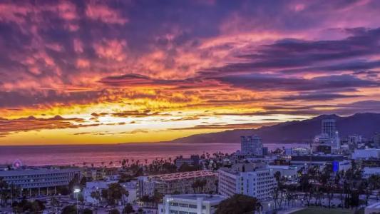 Le Meridien Delfina Santa Monica - 25
