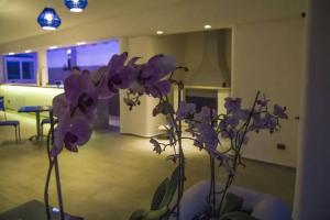 La Bella Trani - Suites and B&B, Trani