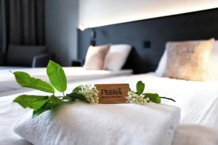 Hotelli Sodankylä - 44